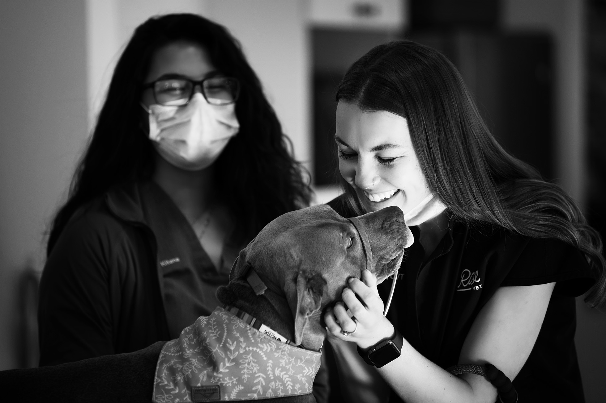 trust - boulder veterinary technician loving her pit bull mix at rise veterinary clinic boulder colorado