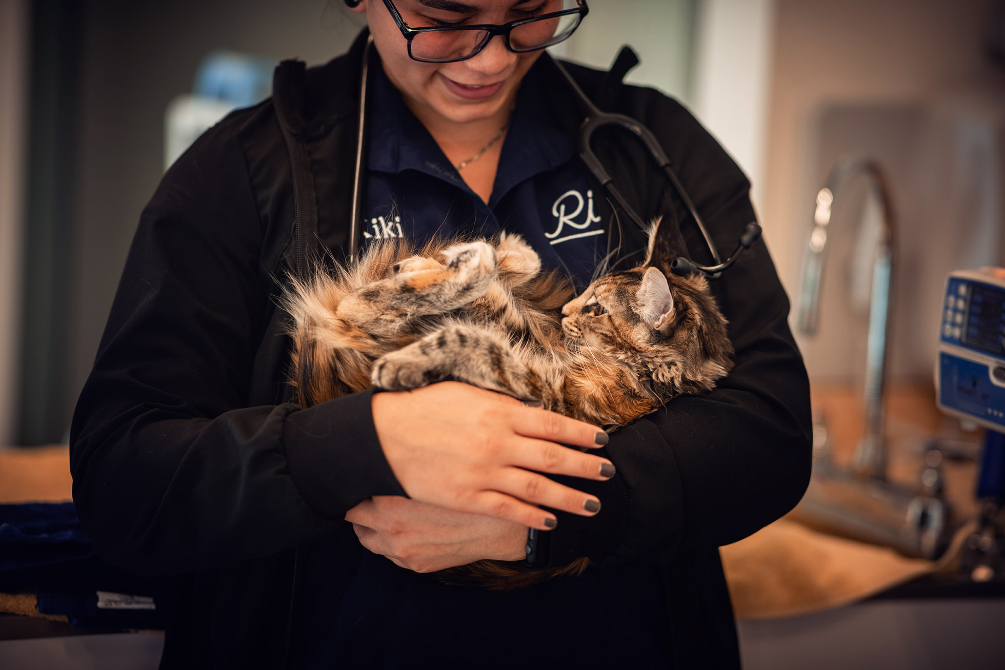 Veterinary technician holding a cat at rise vet boulder Our Shoes | Boulder Animal Hospital
