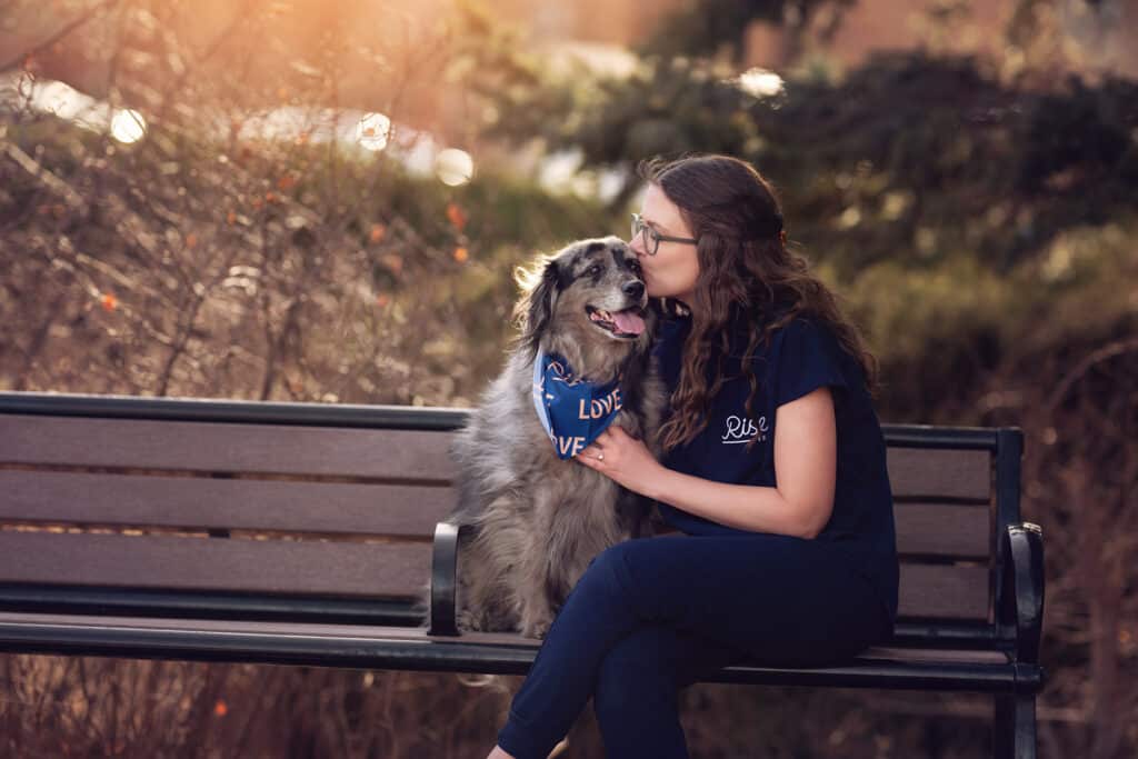 dog on a bench | boulder veterinarian ovary sparing spay vasectomy for dog